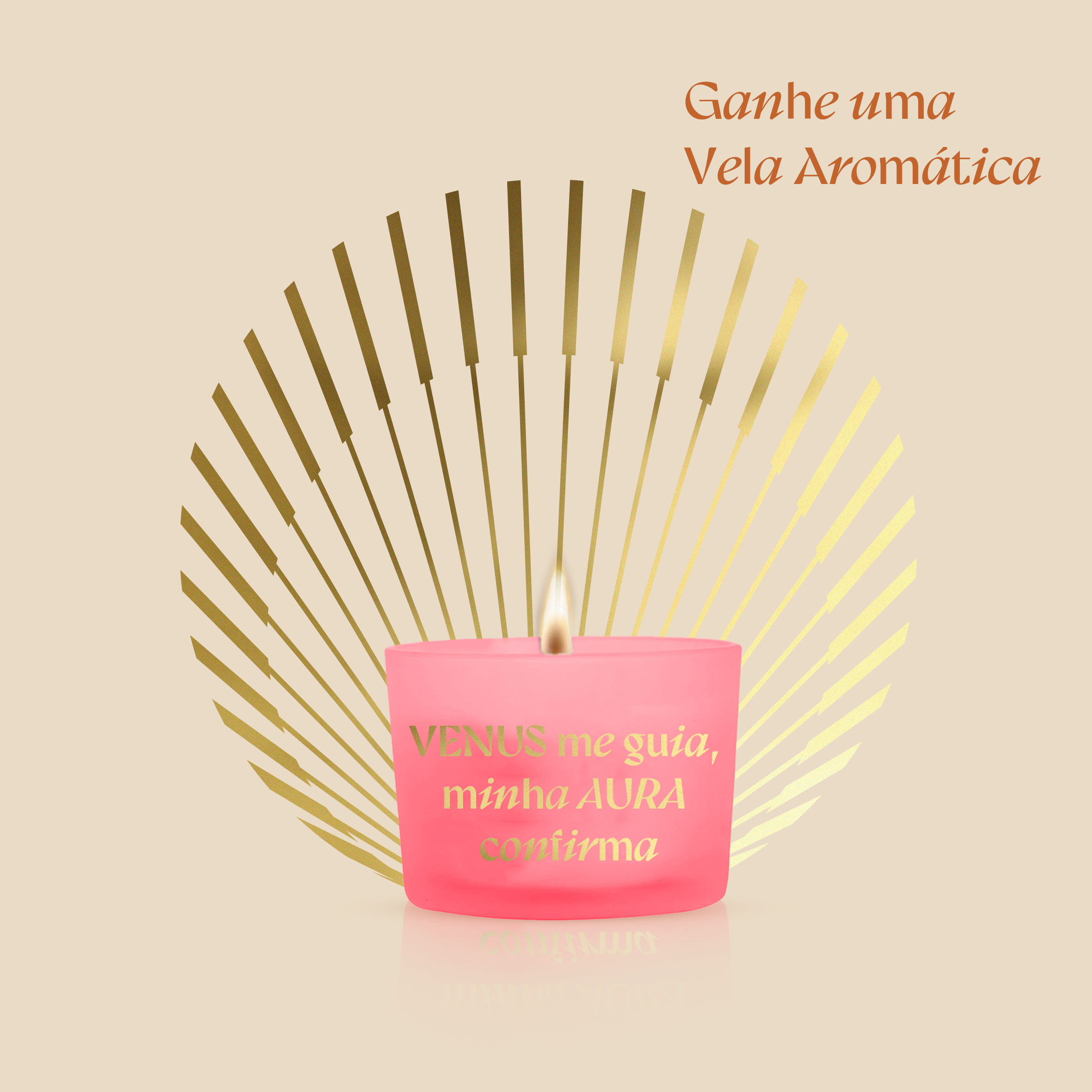 Kit Venus Love + Vela