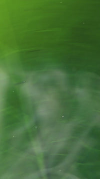 Story preview 3